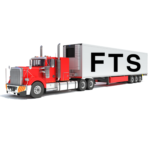 FTS Logo for MMF